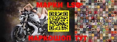 ГАЛЛЮЦИНОГЕННЫЕ ГРИБЫ Свободный