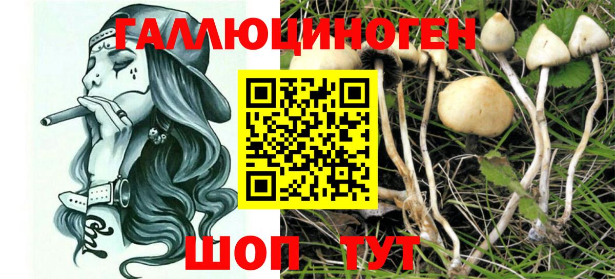 Галлюциногенные грибы Magic Shrooms  Вход с VPN  Родники 